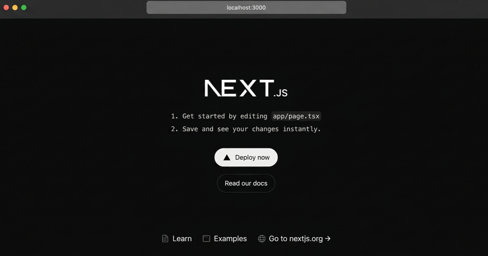 Next.js Default Page